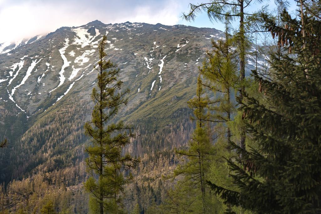 Grand Apartments Hrebienok Vysoké Tatry Eksteriør billede